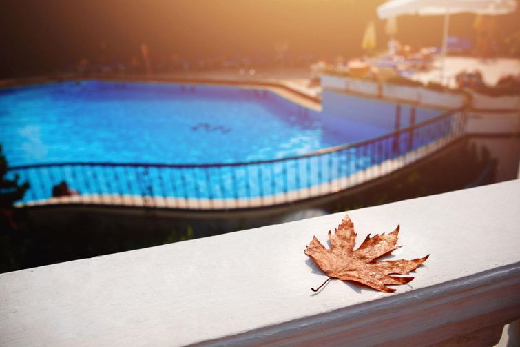 A leaf on a ledge near a swimming pool, while learning how to close your pool.