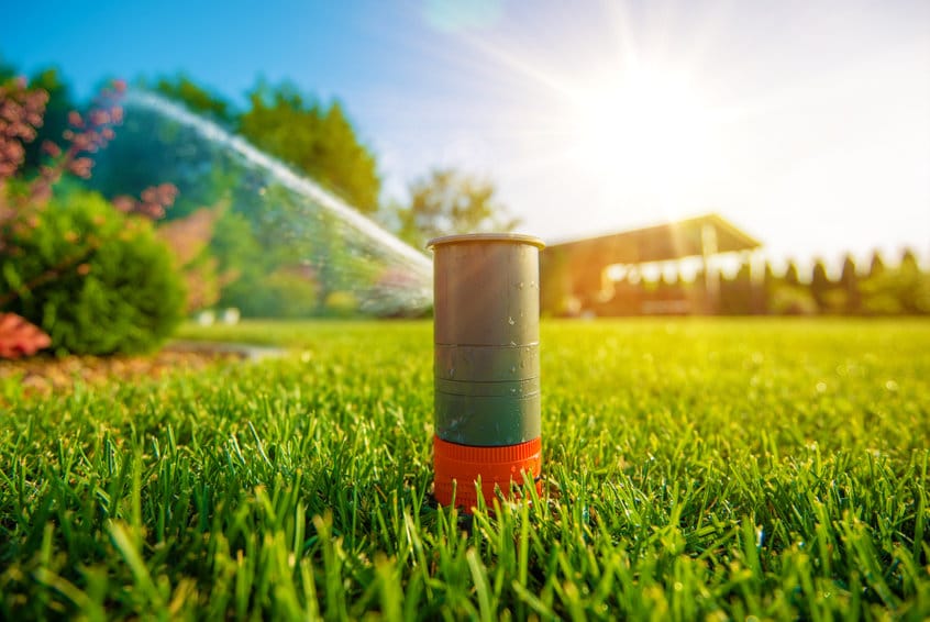 A sprinkler is preventing weeds by spraying water on a lawn.