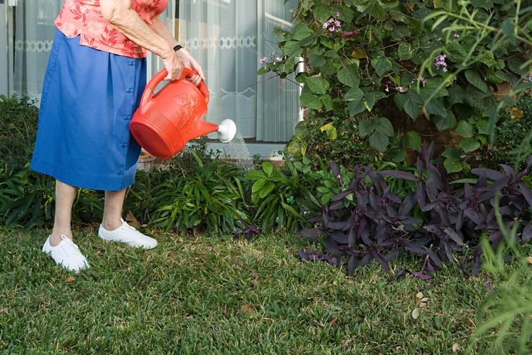 A woman in a blue skirt holding a red bucket while pulling weeds.