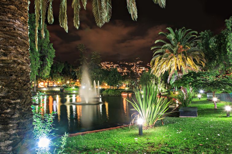 A pond with a fountain and landscape lighting surrounded by palm trees.