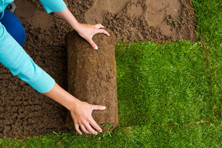 a person reaching for a piece of sod.