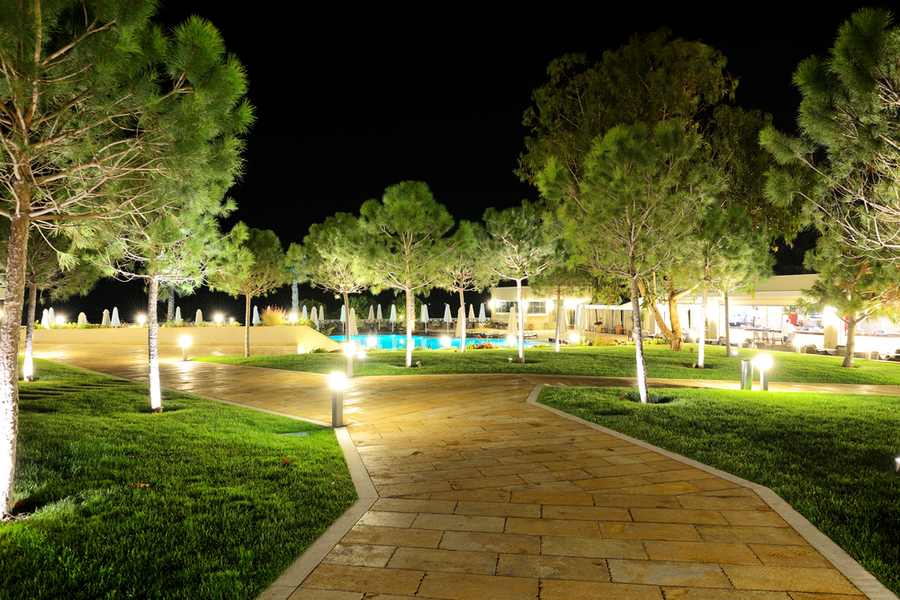 A pathway with outdoor lighting that leads to a pool surrounded by trees.