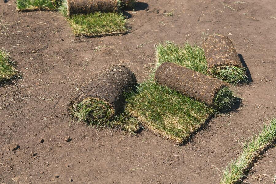 A couple of sod rolls sitting on top of a dirt field.
