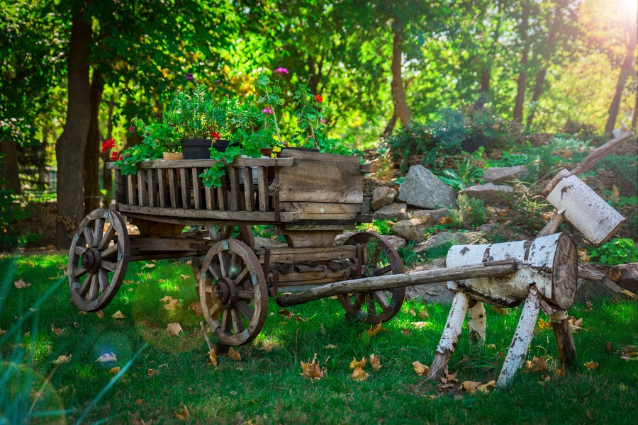 An old wooden cart filled with plants in a garden.