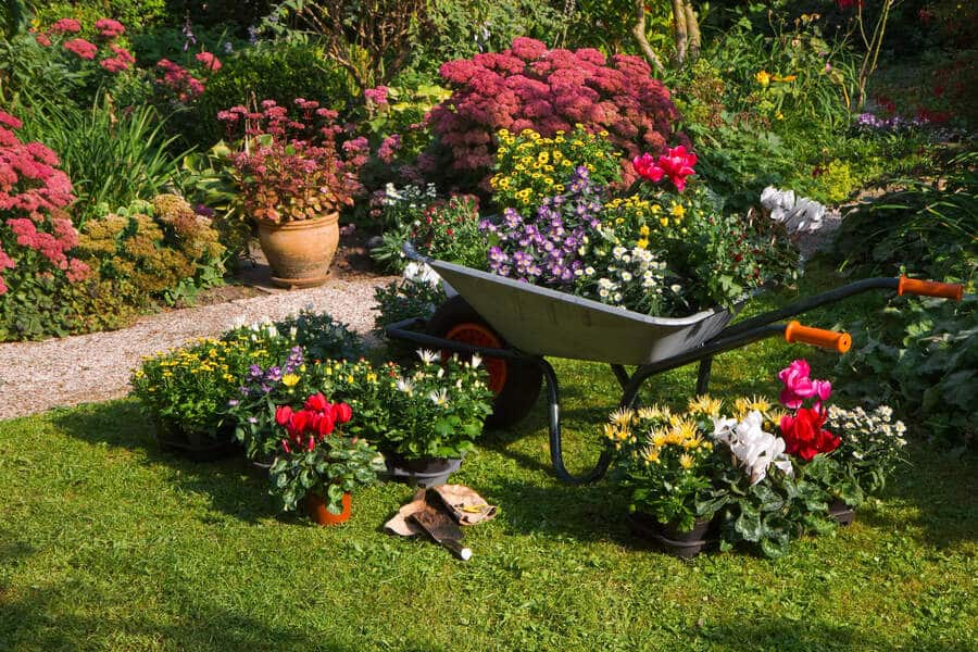 and flowersA garden with a picturesque wheelbarrow overflowing with an array of vibrant flowering plants.
