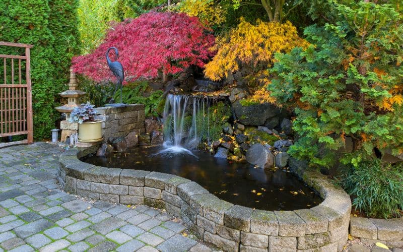Waterfall Pond In Home Backyard During Fall Season