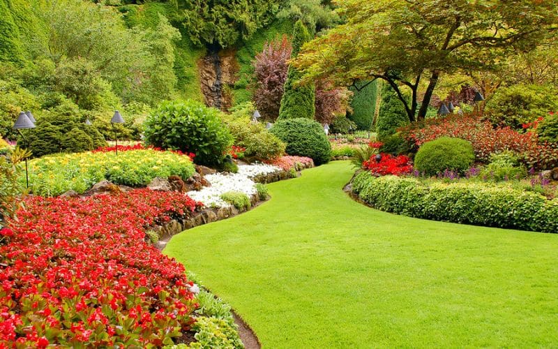 A garden filled with various types of flowers for outdoor space.