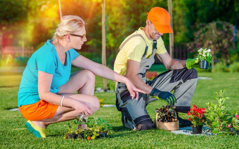 Hiring a Pro vs. DIY Landscaping