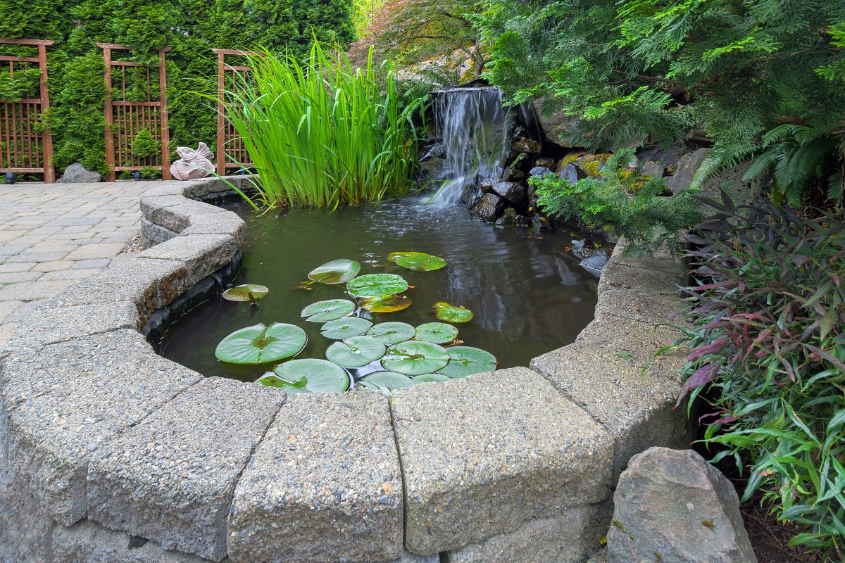 Garden Backyard Pond With Waterfall