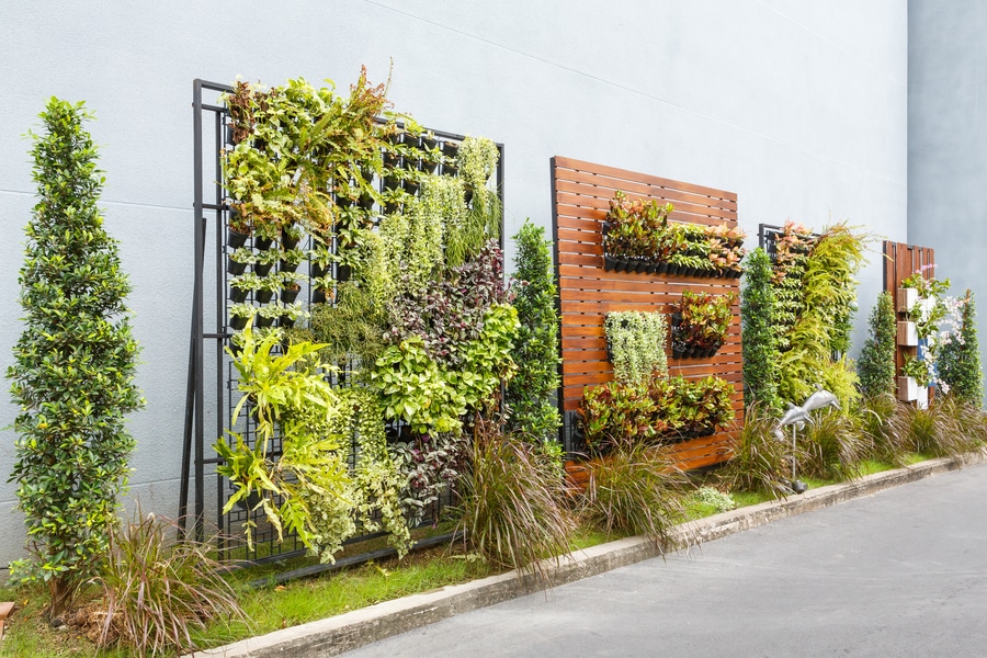 A collection of Vertical Garden plants on a building.