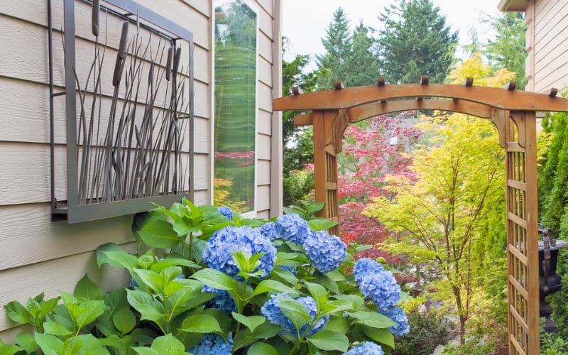 a garden with blue flowers and a wooden arbor.