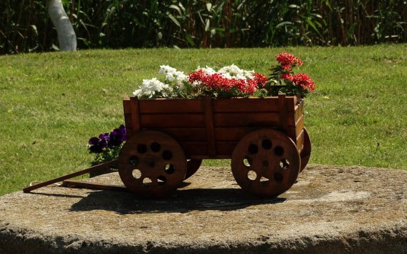 a wooden cart filled with flowers sitting on top of a rock.
