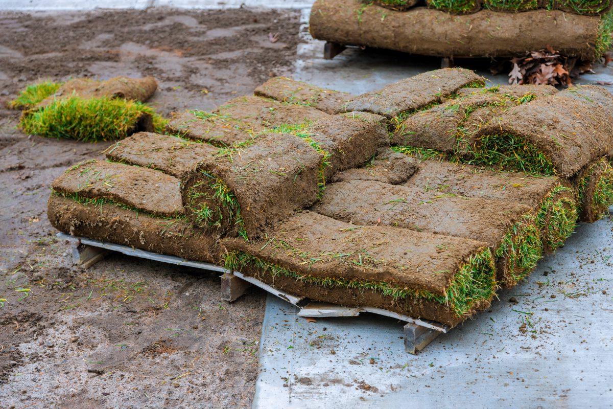 a pile of grass sitting on top of a sidewalk.