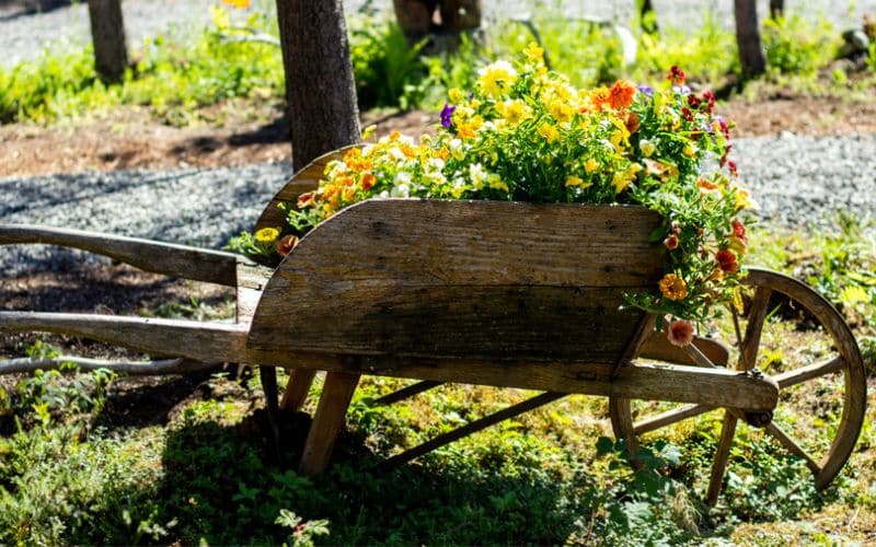 a rustic wooden wheelbarrow filled with flowers.