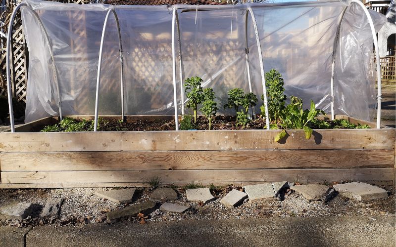 a garden raised bed with a tarp covering it.