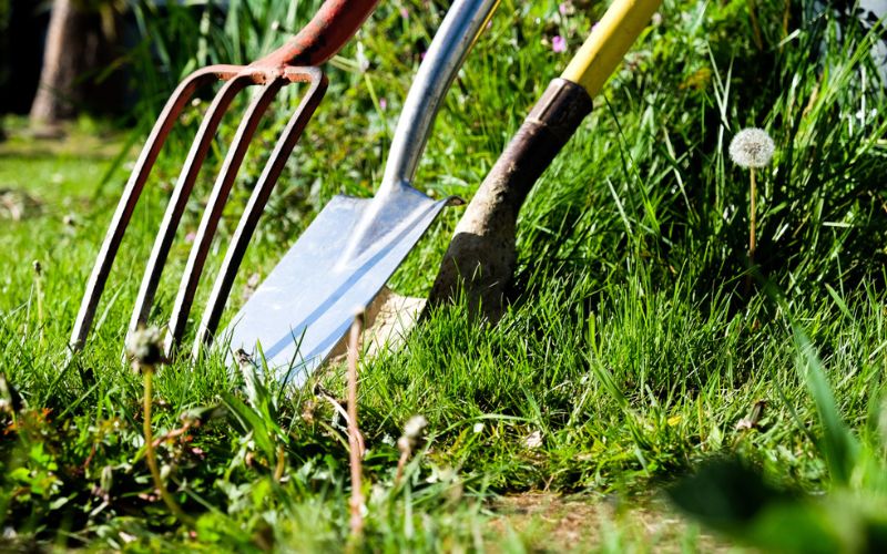 a pair of gardening tools in the grass.