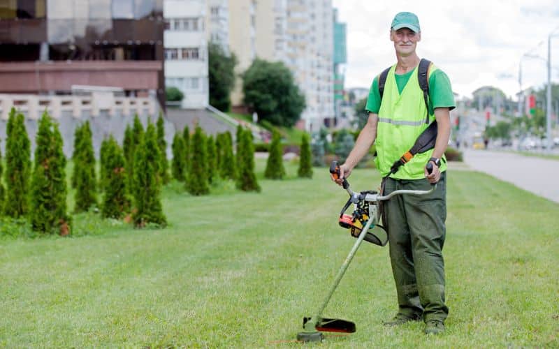 Safety and Lawn Health