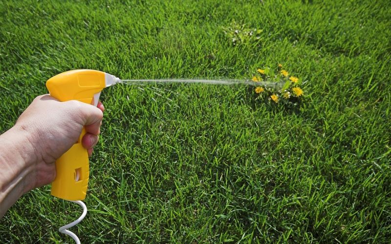 a hand is spraying a weed control sprayer on a green grass.