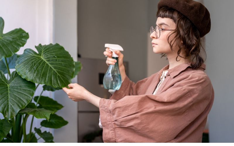 a woman spraying a plant with a natural insecticide.