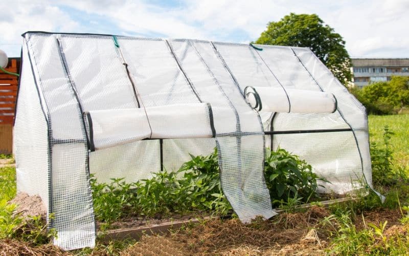 a greenhouse with a plastic cover on the ground.