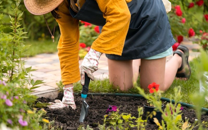 a woman is planting flowers in a garden using carbon steel tools