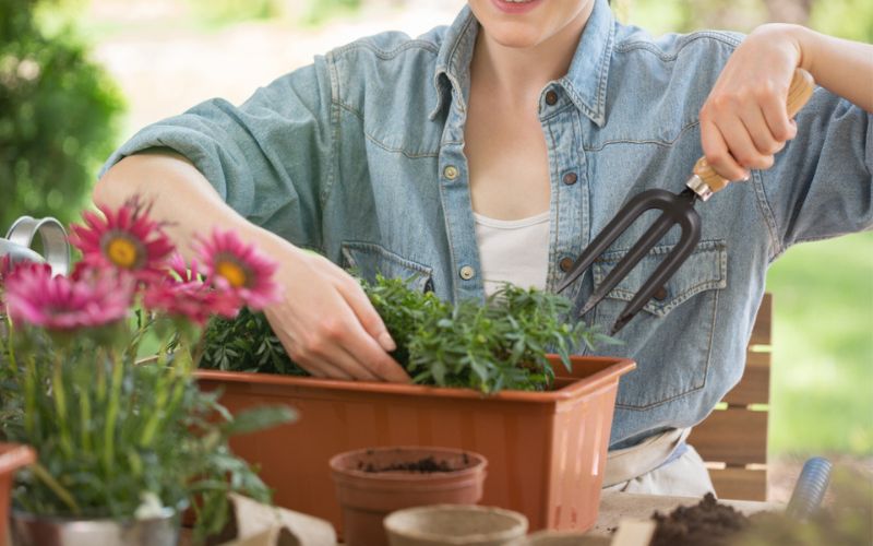 a woman is planting flowers in a pot with high quality garden tools