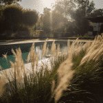 A swimming pool with tall grass in the background.