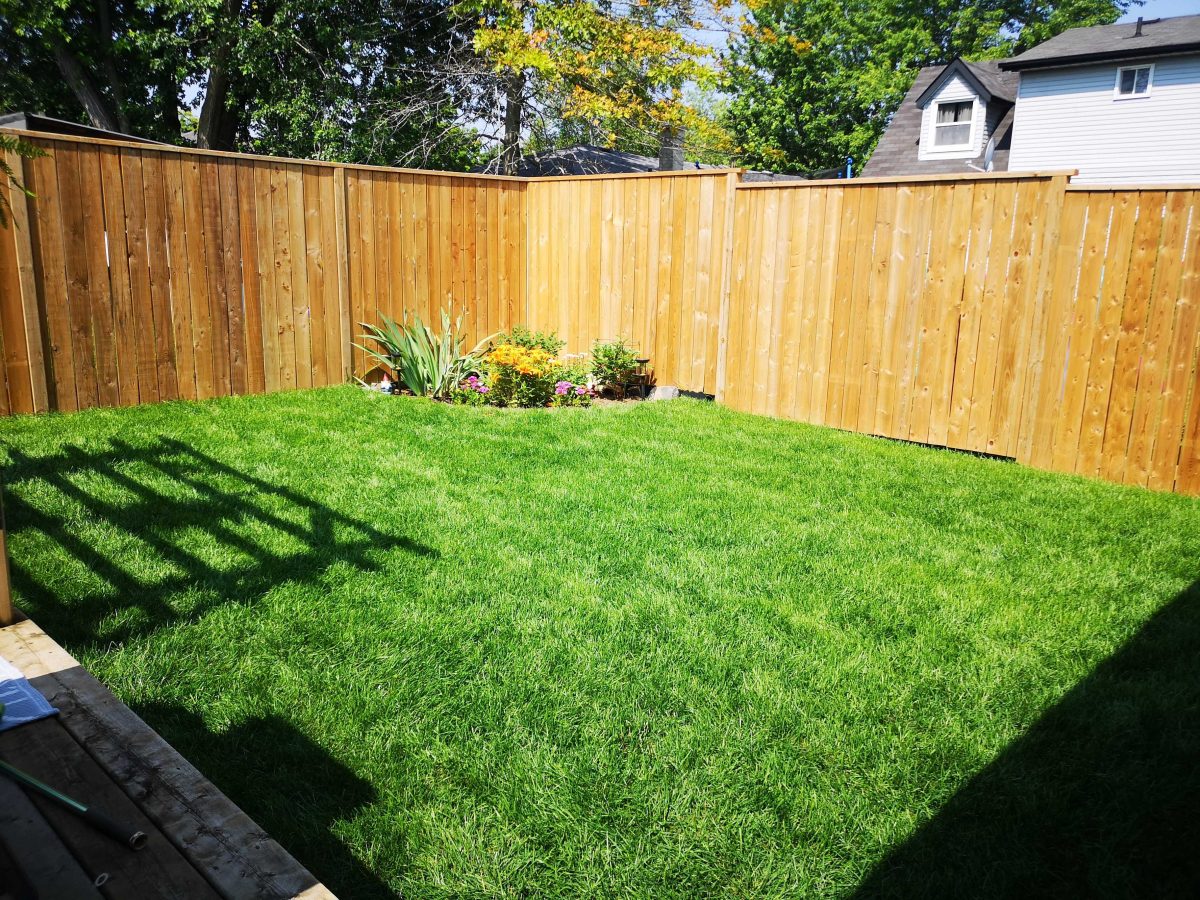 a backyard with grass and a wooden fence.