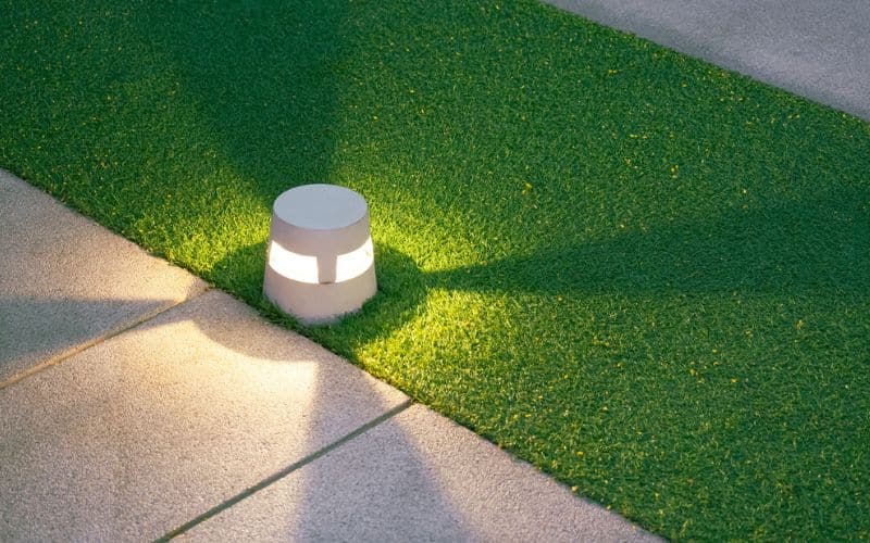 Low voltage light on a grassy area.
