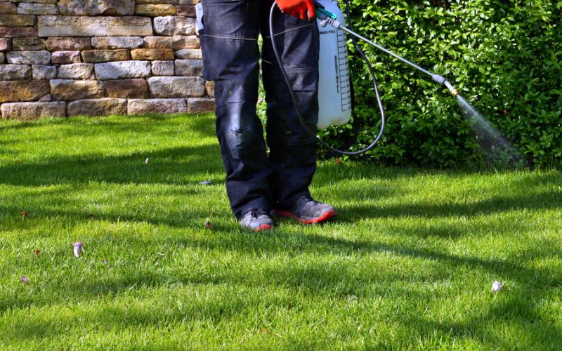 a man spraying a lawn with a weed control.