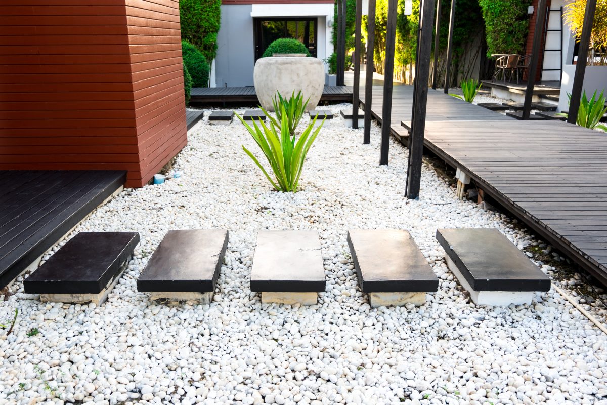 A small garden with a black bench and a plant.