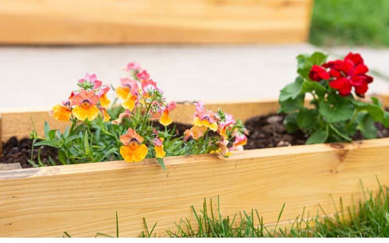A wooden planter box with flowers in it.