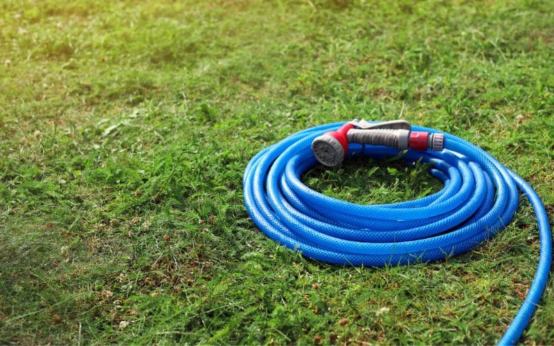 A blue regular garden hose is laying on the grass.