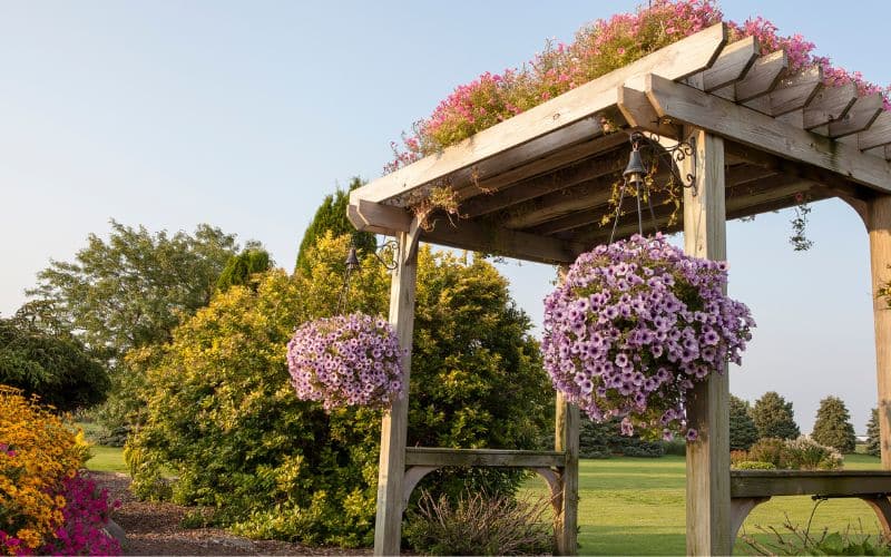 A wooden pergola with flowers hanging from it.