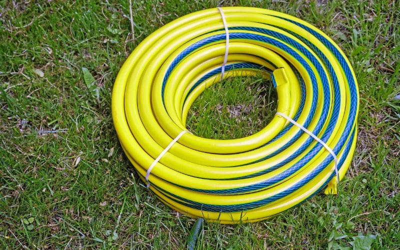 A yellow and blue hose laying on the grass.