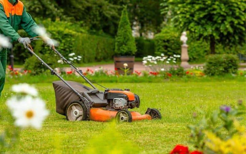 Lawn care and landscape maintenance