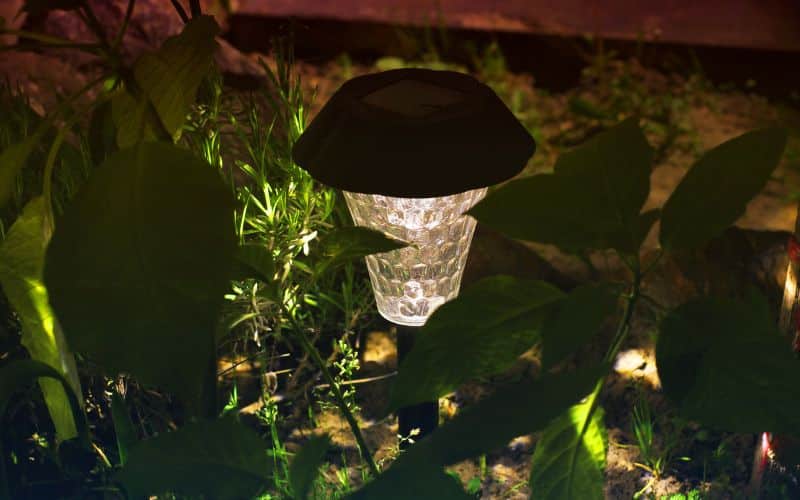 A solar powered garden light in the middle of a garden.