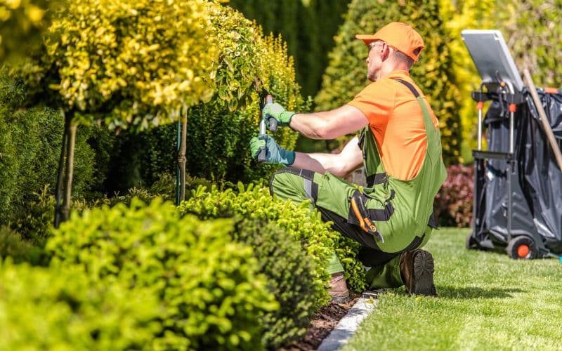 A gardener is trimming bushes in a garden.