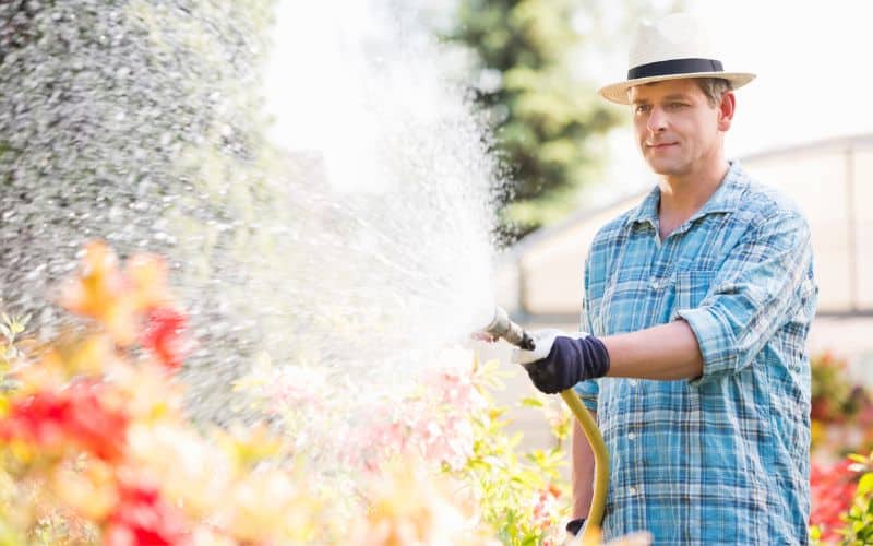 A man is watering his garden with a hose.