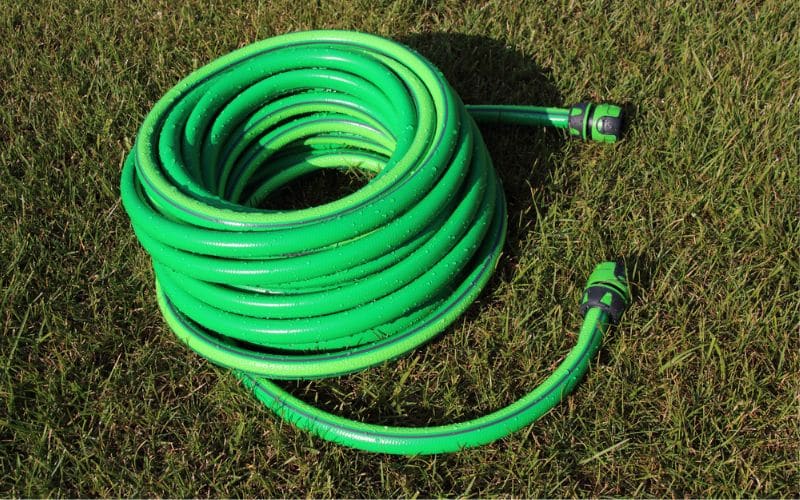 A green garden hose laying on the grass.