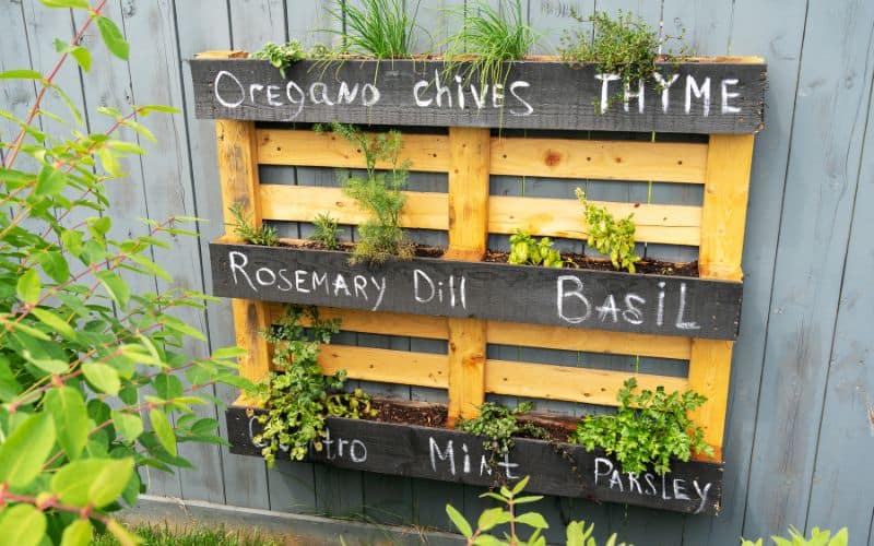 A wooden pallet with herbs and spices on it.
