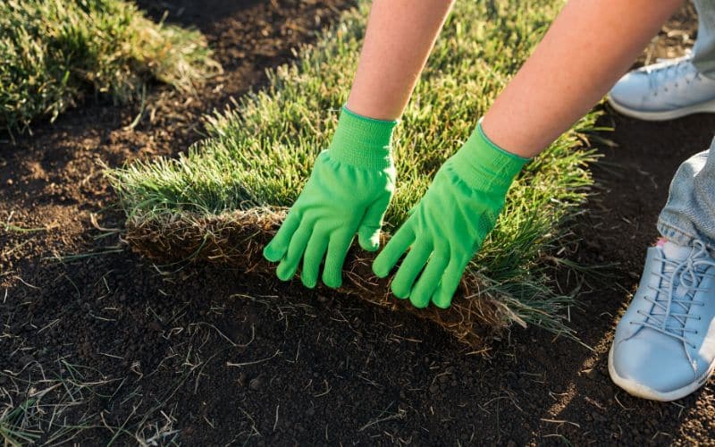 A person wearing green gloves is removing sod by hand