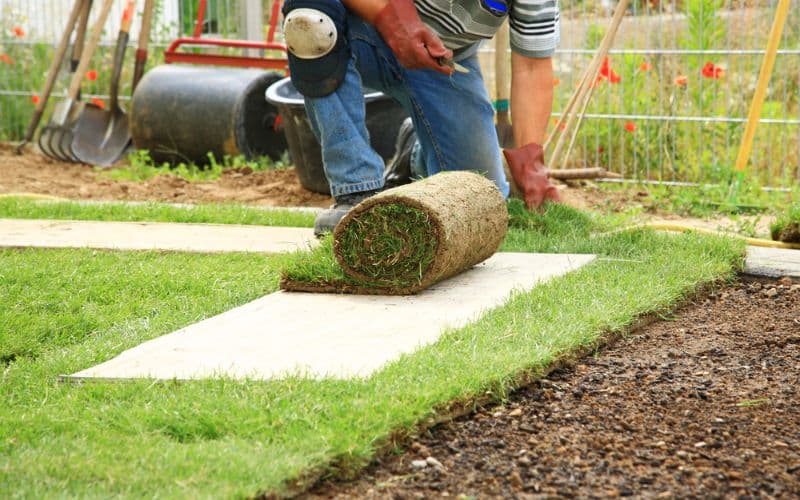 A man is laying down a roll of grass in a garden.