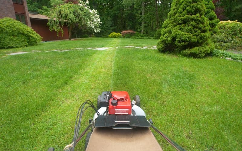 A lawn mower is being used to mow a lawn.