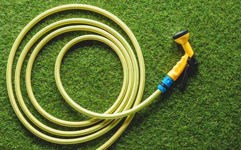 A yellow hose on a green lawn.
