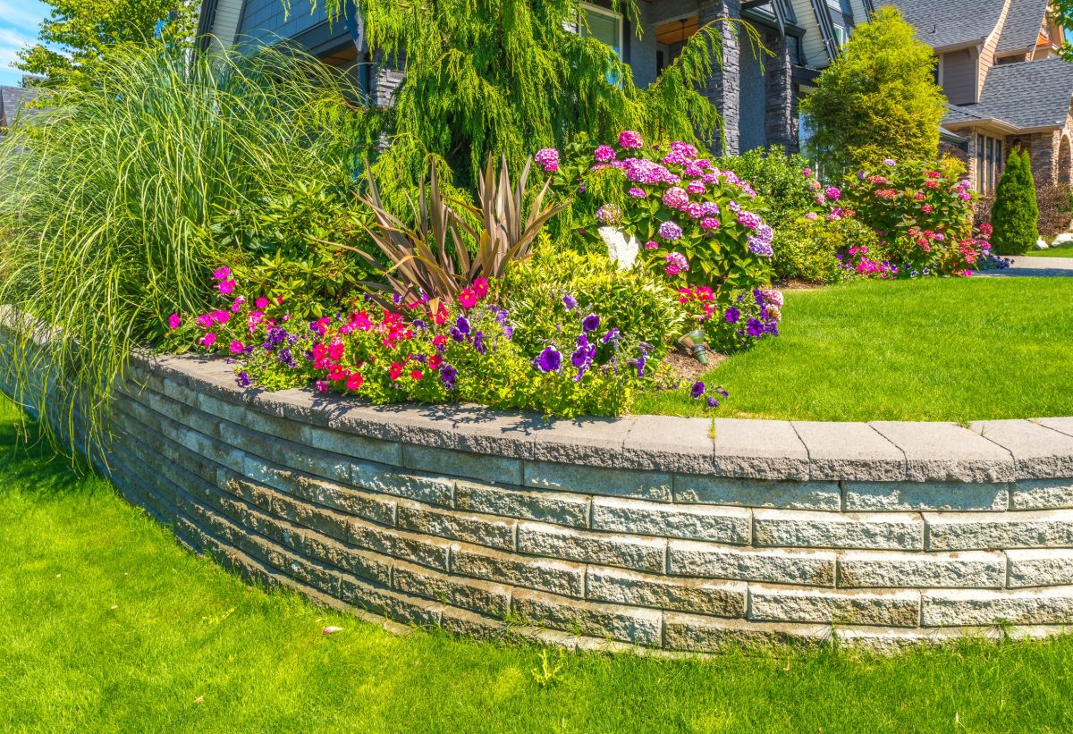 colorful garden flowers stone retaining wall
