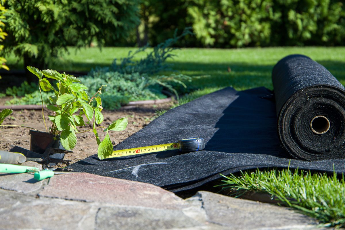 A roll of black tarp is laid out in a garden.