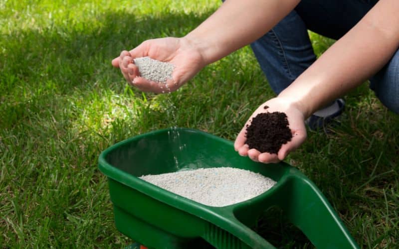 A man is preparing lawn fertilizer and soil 