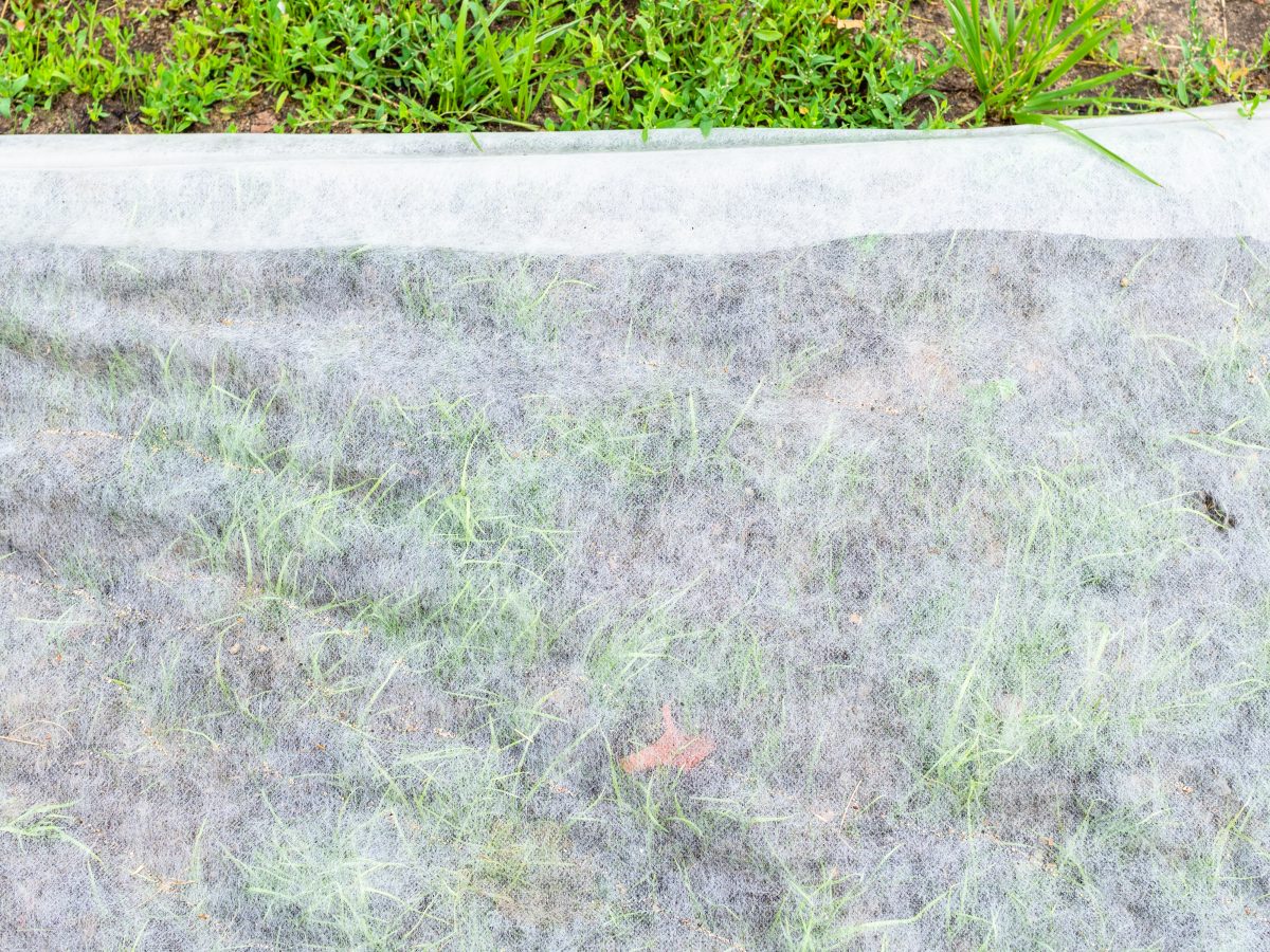 A plastic sheet on the ground with grass on it.