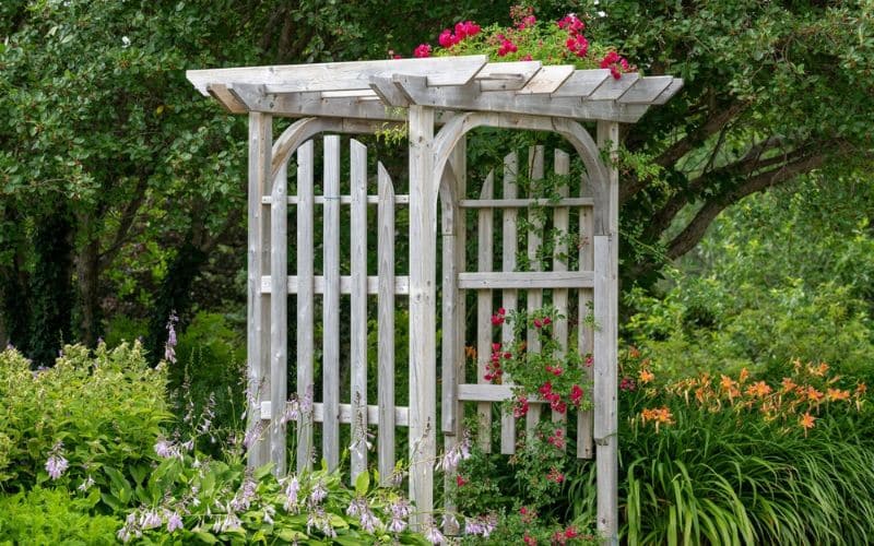 A wooden arbor surrounded by flowers and shrubs.